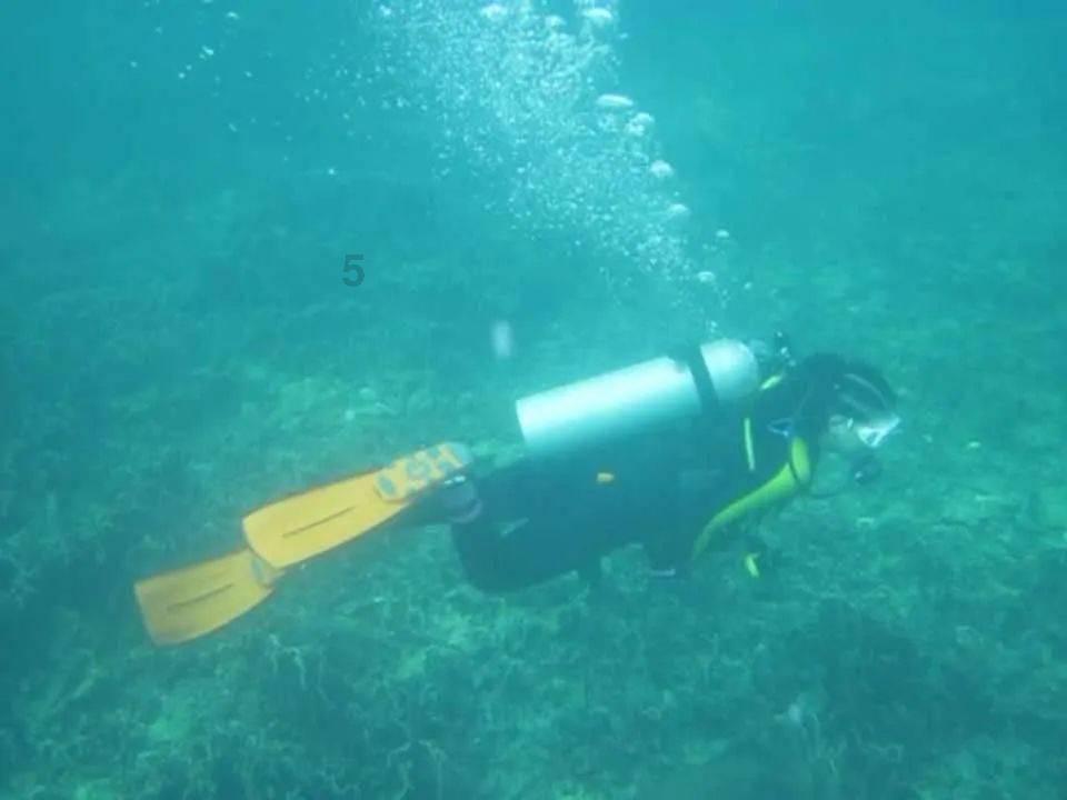泛亚电竞网站